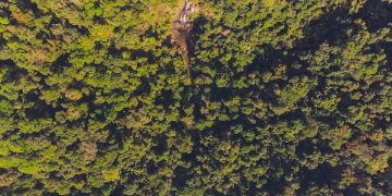 Peru's Environmental Policies: Implications for US Companies - Cover Image