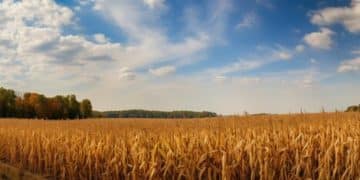 Peru's Agricultural Subsidies: Impact on US Farmers - Cover Image