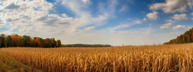 Peru’s Agricultural Subsidies: Impact on US Farmers