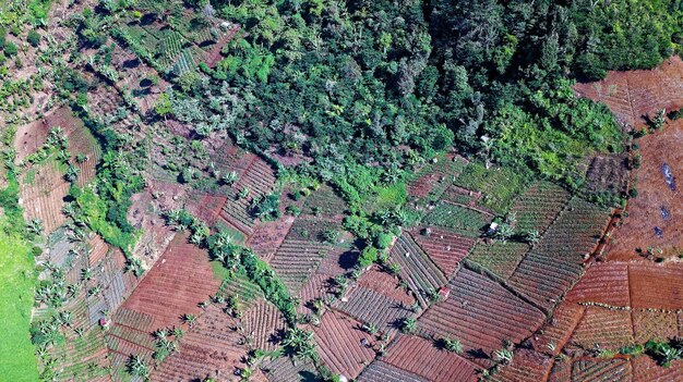 Analyzing the Impact of Peru’s Updated Trade Agreement on US Agricultural Exports