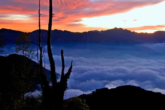 Peru Tourism Boom: How US Travel Agencies Can Profit