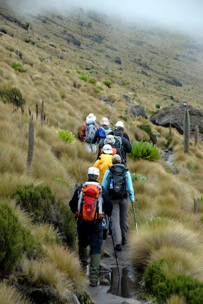 A group of tourists hiking the Inca Trail, with porters carrying their gear. The trail winds through lush mountain scenery, and the hikers are equipped with backpacks and hiking poles, enjoying the adventure.