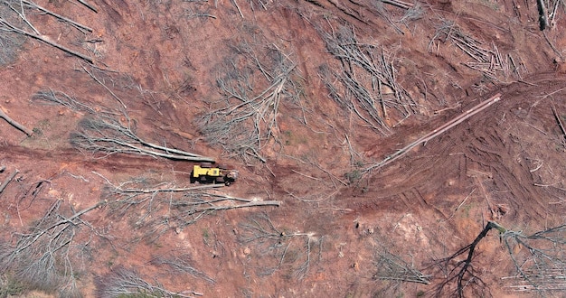 Peru’s Copper Boom: Impacts on the US Market & Consumers