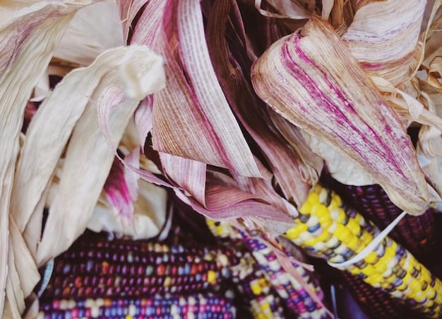 A close-up shot of the diverse natural dyes used in Peruvian textiles, including plants, minerals, and insects, showcasing the rich color palette derived from these sources.