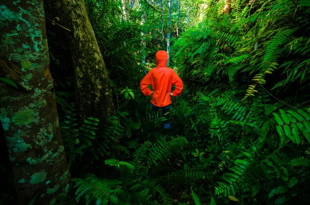 A traveler wearing a light, breathable rain jacket and hiking boots, trekking through a lush Amazon rainforest trail with dense vegetation.
