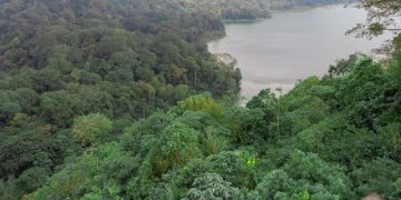 Spotting Wildlife in the Peruvian Amazon: A Guide for US Nature Enthusiasts - Cover Image